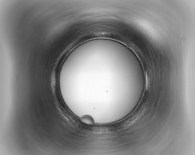 X0000116150435200911301544