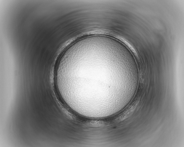 X0000116150437200911301544