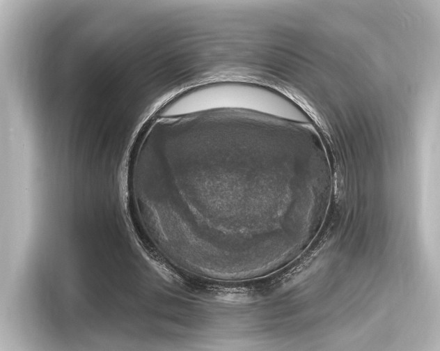 X0000116150438200911301544