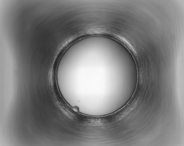 X0000116150439200911301544