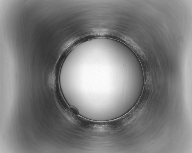 X0000116150440200911301544