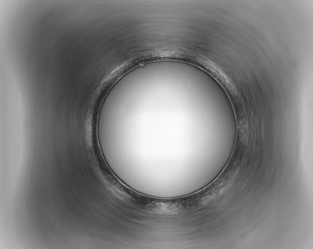 X0000116150442200911301544