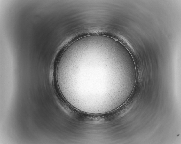 X0000116150443200911301544