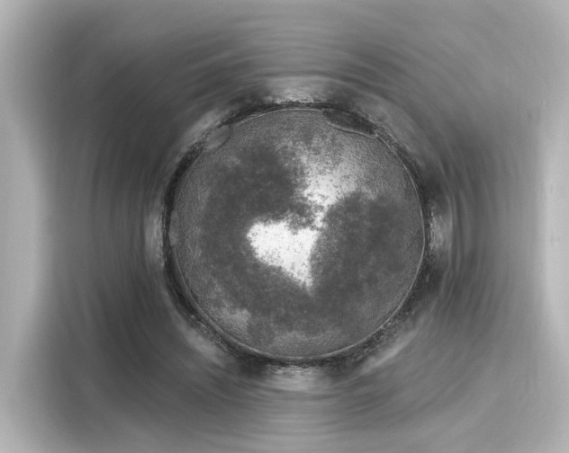 X0000116150444200911301544