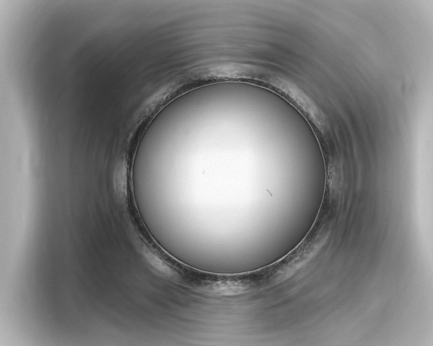 X0000116150445200911301544