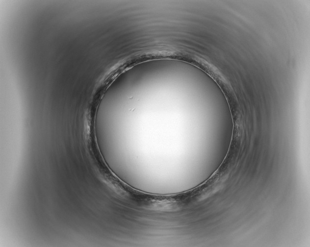 X0000116150446200911301544