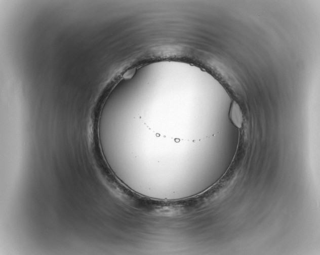 X0000116150447200911301544