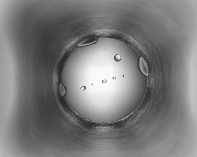 X0000116150448200911301544