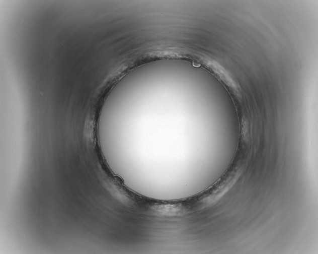 X0000116150449200911301544