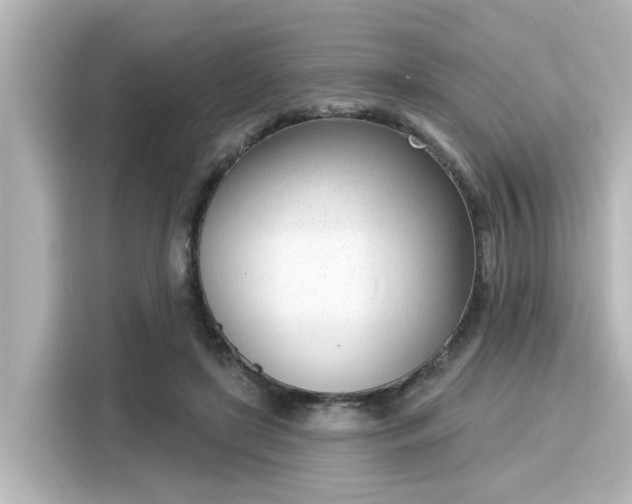 X0000116150451200911301544