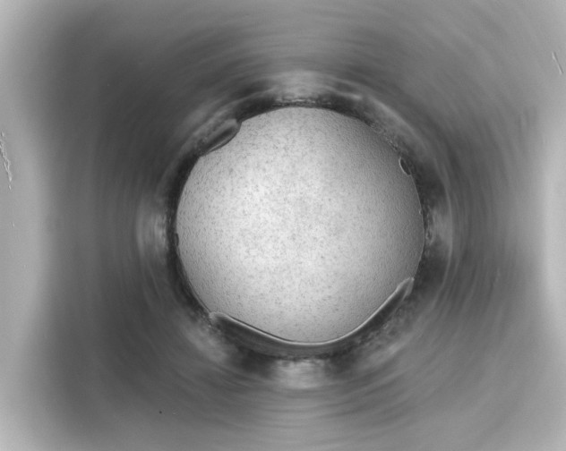 X0000116150452200911301544