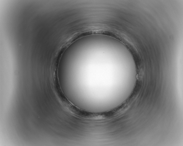 X0000116150456200911301544