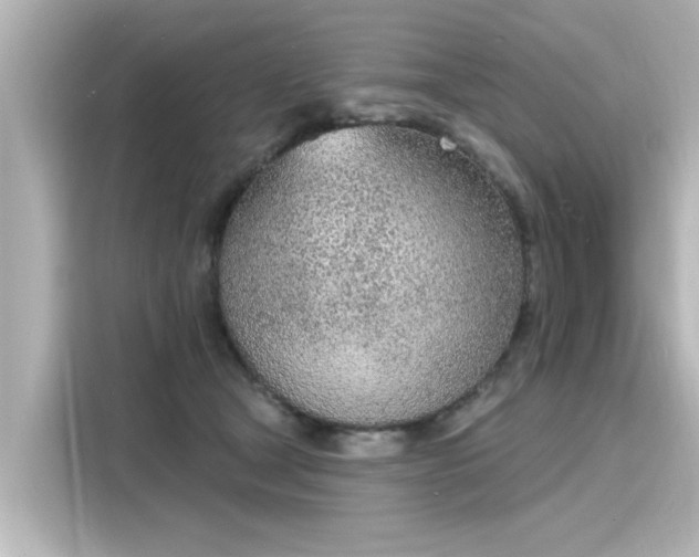 X0000116150465200911301544