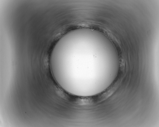 X0000116150466200911301544