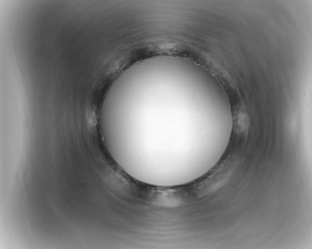 X0000116150472200911301544