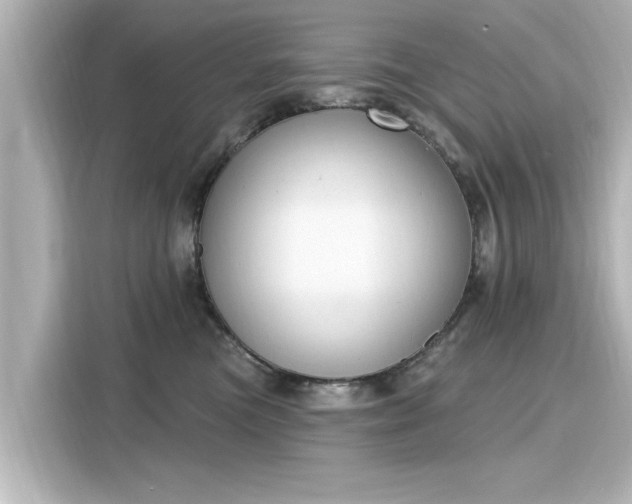 X0000116150473200911301544