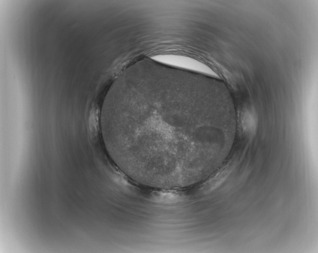 X0000116150475200911301544