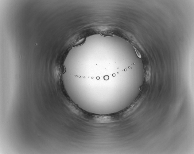 X0000116150476200911301544