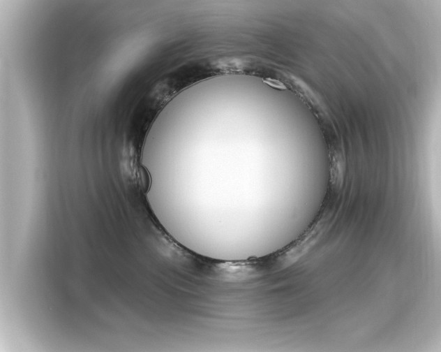 X0000116150477200911301544