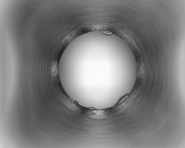 X0000116150478200911301544