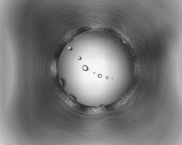 X0000116150479200911301544