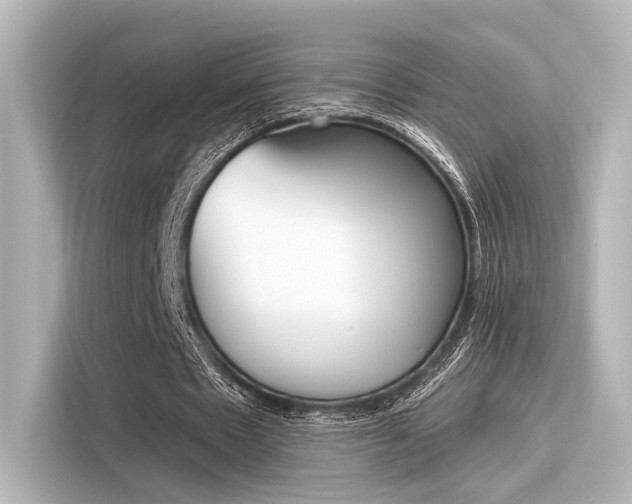 X0000116150481200911301544