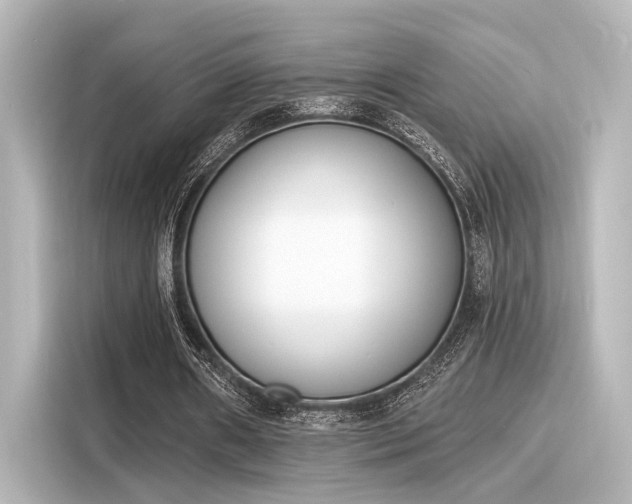 X0000116150482200911301544