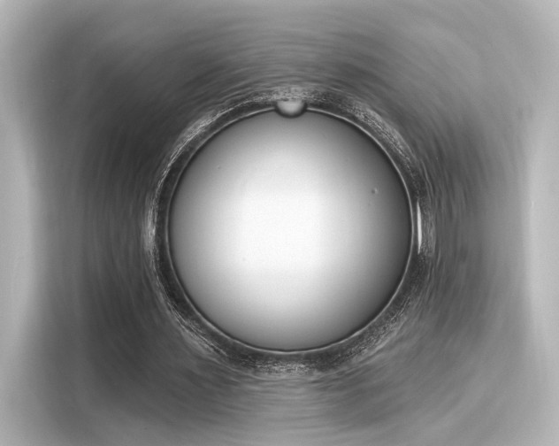 X0000116150483200911301544