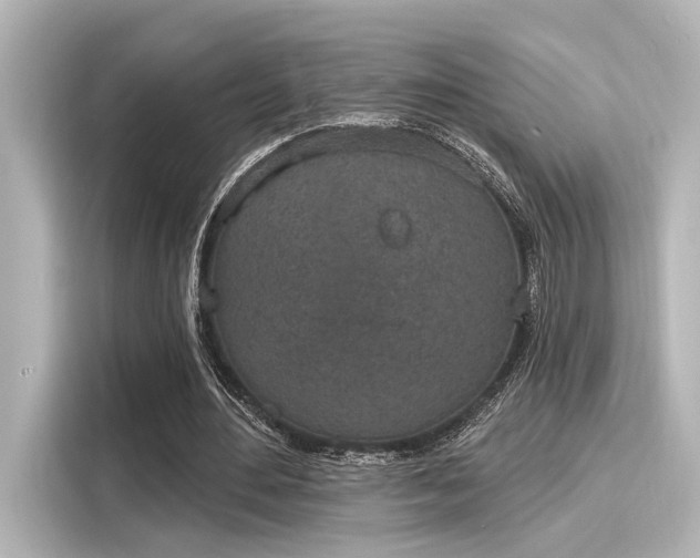 X0000116150484200911301544