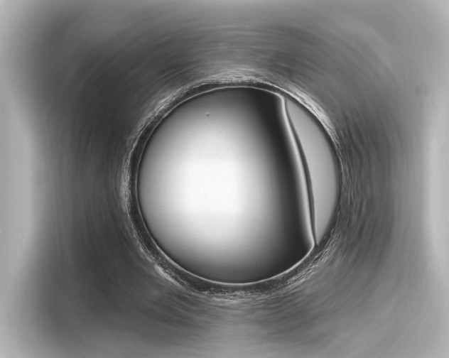 X0000116150485200911301544