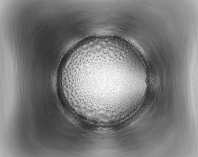 X0000116150487200911301544