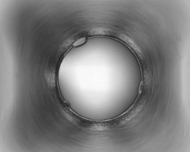 X0000116150489200911301544