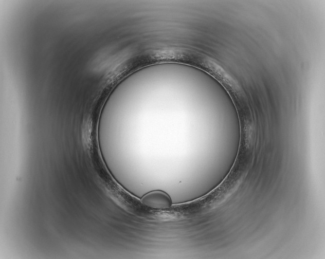 X0000116150490200911301544