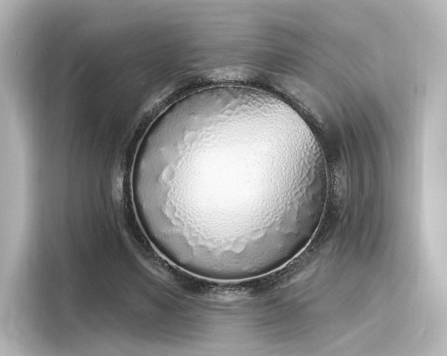 X0000116150491200911301544