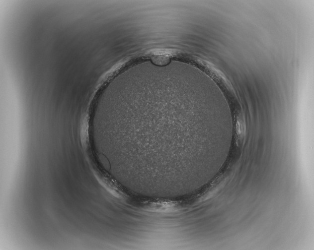 X0000116150492200911301544