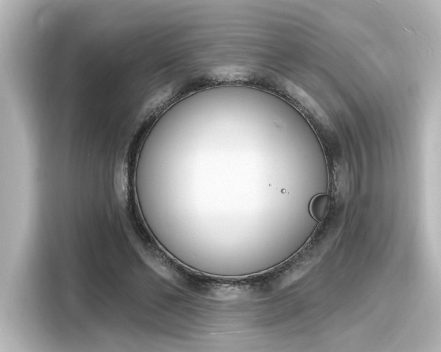 X0000116150494200911301543