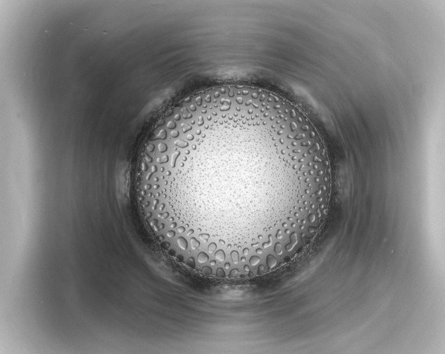 X0000116150495200911301543