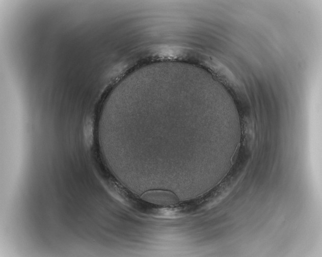 X0000116150496200911301543