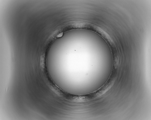 X0000116150497200911301543