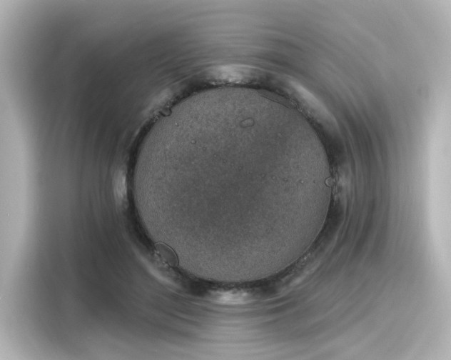 X0000116150500200911301543