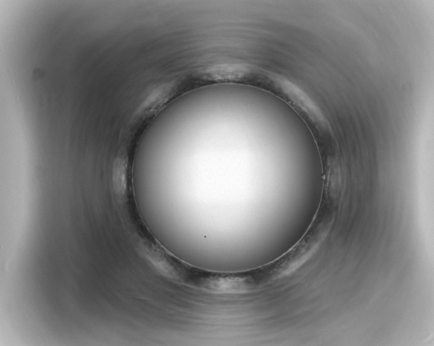 X0000116150501200911301543