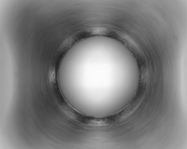 X0000116150502200911301543