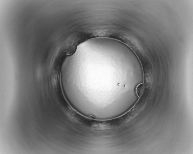 X0000116150503200911301543