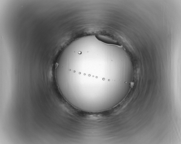 X0000116150508200911301543