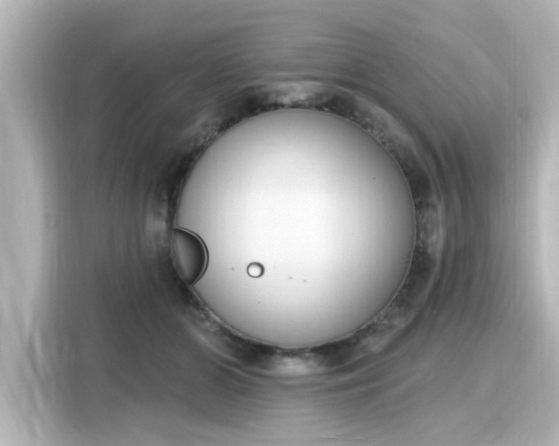 X0000116150510200911301543