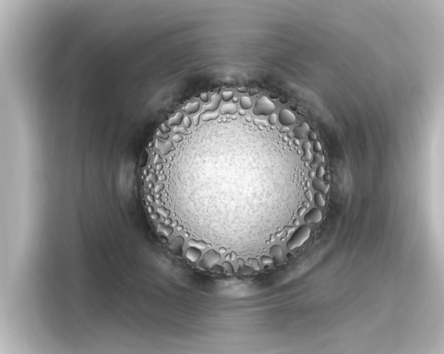 X0000116150511200911301543