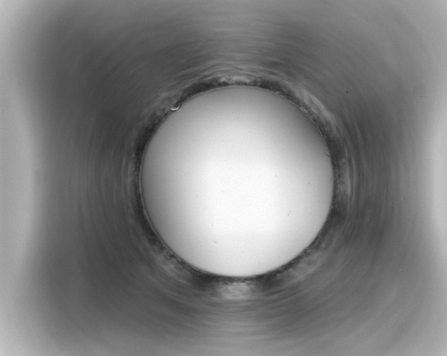 X0000116150513200911301543