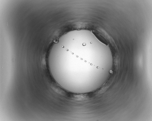 X0000116150516200911301543