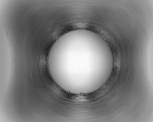 X0000116150518200911301543