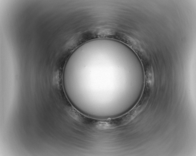 X0000116150519200911301543